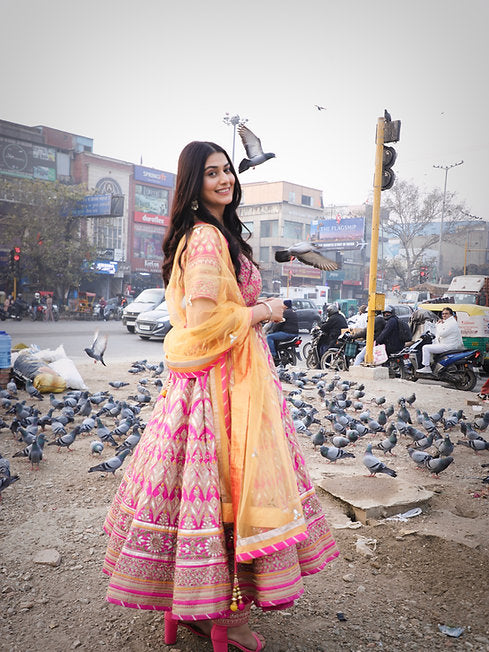 Aria Gotta Anarkali Suit