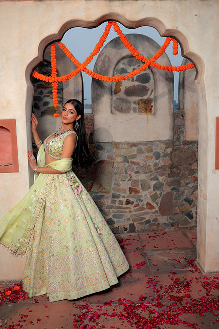 Sufian Pistachio Green Lehenga