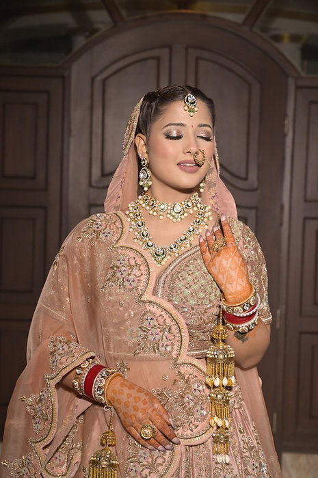 Zardozi Ombre Embroidered Lehenga Set