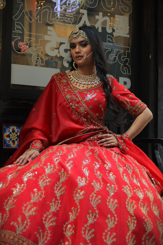 Zardozi Mahi Embroidered Lehenga Set