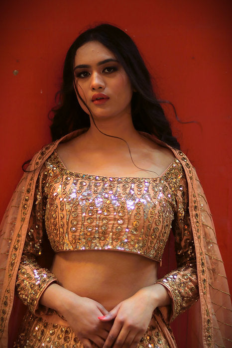 Aditi Gold Embroidered Lehenga Set