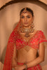 Kainaat Bridal Lehenga