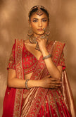 Meherzia Bridal Lehenga