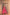 Savannah Raw Silk Lehenga