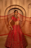 Kainaat Bridal Lehenga