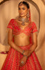 Kainaat Bridal Lehenga