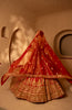 Meherzia Bridal Lehenga