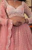 Savera Bridal Lehenga