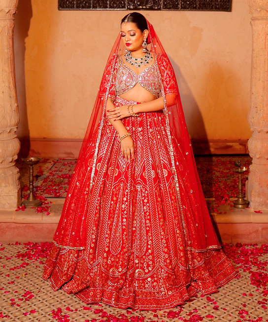 Valiqan Cutdana Sequins Lehenga
