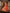 Mihrimah Rust Tissue Lehenga