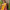 Zina Banarasi Silk Lehenga