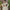 Kish Off White Modern Lehenga