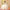Kish Off White Modern Lehenga