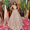 Adab Nude Pink Lehenga