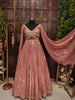 Aanya Sequins Gown