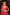 Carmina Red Embroidered Lehenga Set