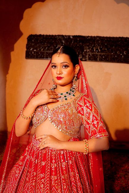 Valiqan Cutdana Sequins Lehenga