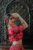 Arwa Pink Lehenga