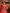 Hasret Red Ombre Heavy Lehenga