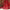 Ece Organza Red Lehenga
