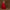 Zeenat Thread Embroidery Lehenga