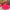 Tamia Organza Pink Lehenga