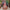 Uzma Scarlet Red Heavy Dupatta Lehenga