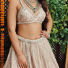 Adab Nude Pink Lehenga