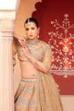 Rehumah Golden Heavy Lehenga