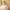 Kish Off White Modern Lehenga