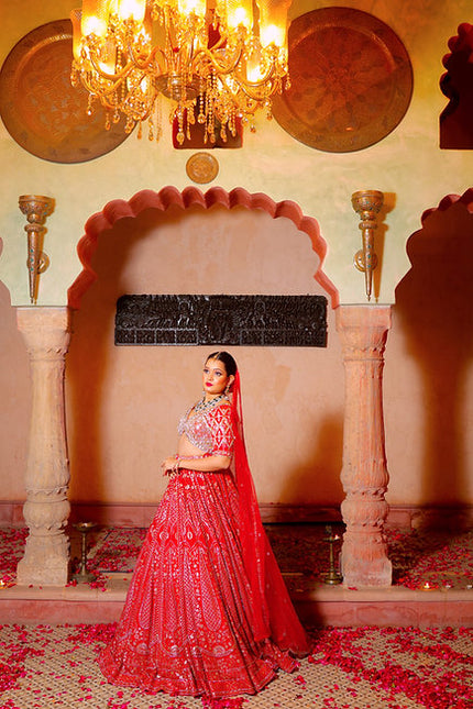 Valiqan Cutdana Sequins Lehenga