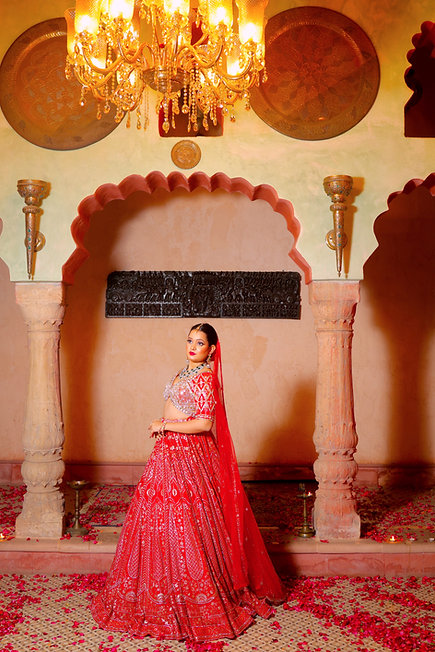 Valiqan Cutdana Sequins Lehenga