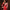 Ece Organza Red Lehenga