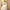 Kish Off White Modern Lehenga
