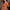 Mihrimah Rust Tissue Lehenga