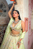 Sufian Pistachio Green Lehenga