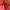 Ece Organza Red Lehenga
