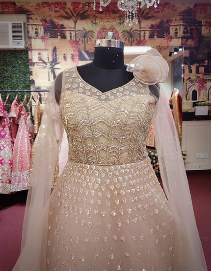 Sehrish Net Gown