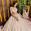 Adab Nude Pink Lehenga