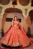 Omera Tissue Lehenga