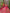 Rawiya Pink Hand Embroidered Lehenga