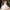 Sapphira Off White Modern Lehenga