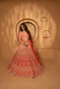 Taraana Bridal Lehenga