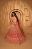 Taraana Bridal Lehenga