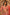 Taraana Bridal Lehenga
