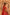 Kainaat Bridal Lehenga