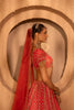 Kainaat Bridal Lehenga