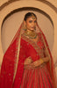 Mahnoor Bridal Lehenga