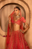 Kainaat Bridal Lehenga