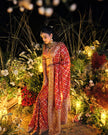 Taara red Banarasi bandhej saree, cutdana and sequins embroidery detail, Amaltas Couture